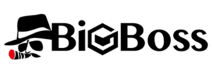 BigBoss ロゴ